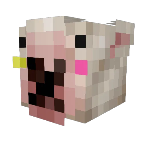SheltonJ Minecraft avatar head, 3D render