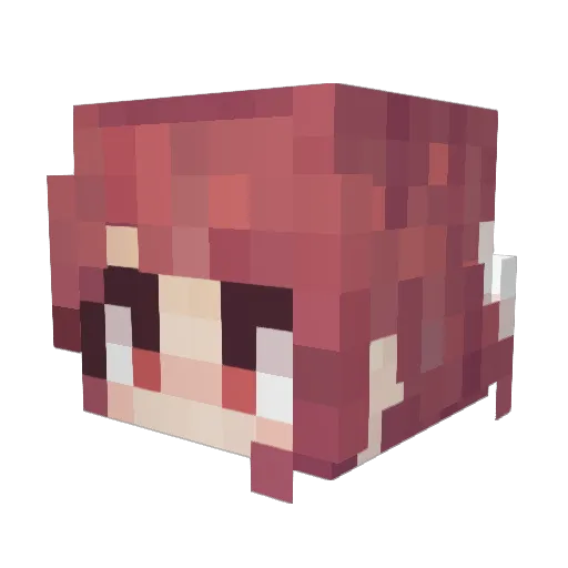 Sheltur_ Minecraft avatar head, 3D render