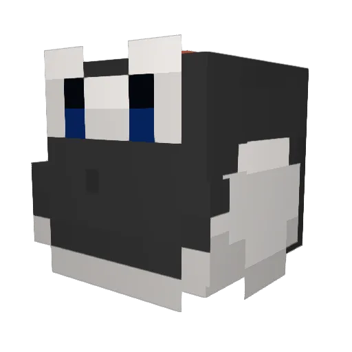 Shelukee Minecraft avatar head, 3D render