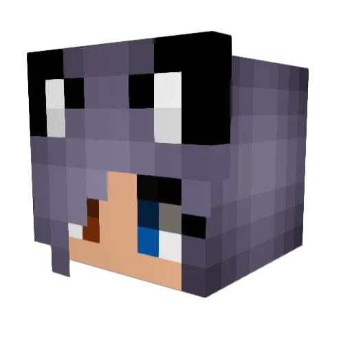 Sheluvsken06 Minecraft avatar head, 3D render