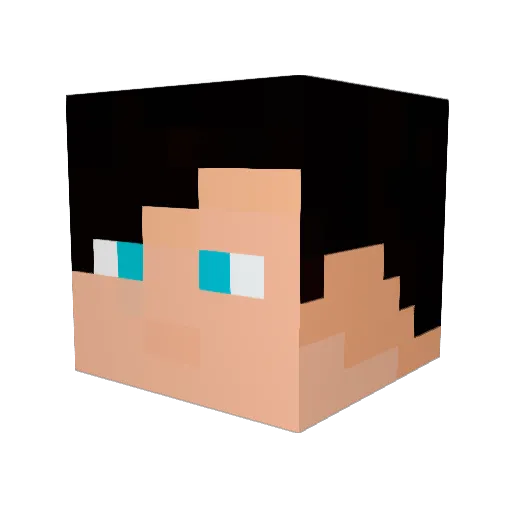 Shelv1s Minecraft avatar head, 3D render