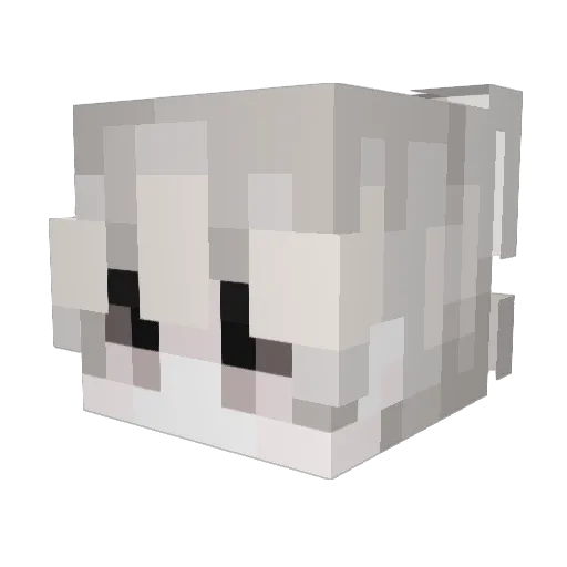 SheminXD Minecraft avatar head, 3D render