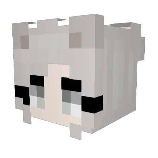 Shen0111 Minecraft avatar head, 3D render
