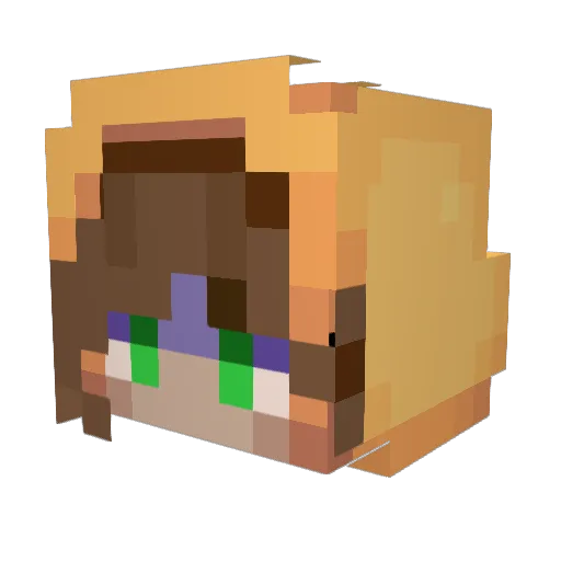 Shen31245 Minecraft avatar head, 3D render