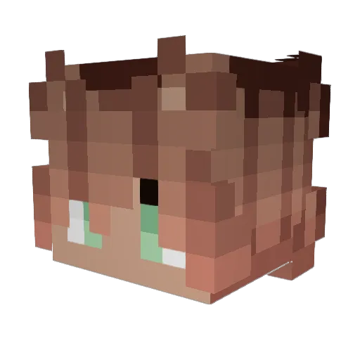 ShenOnHere Minecraft avatar head, 3D render