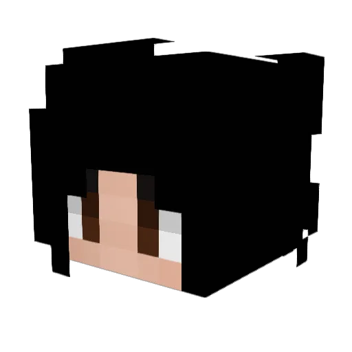 Shen_Minx Minecraft avatar head, 3D render