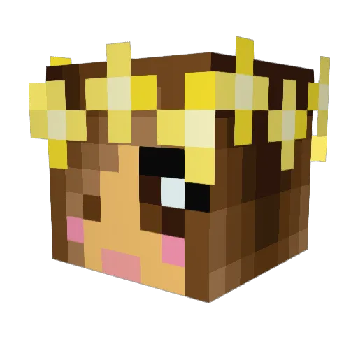 ShenaXXI Minecraft avatar head, 3D render