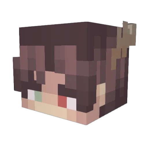 Shenanook Minecraft avatar head, 3D render