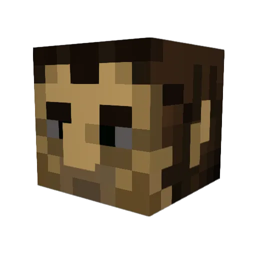 Shendorion Minecraft avatar head, 3D render