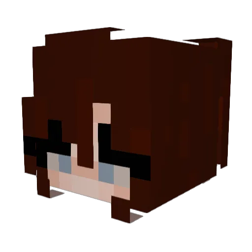 Shenia101 Minecraft avatar head, 3D render