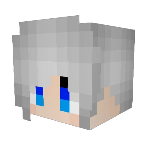 Sheniux51 Minecraft avatar head, 3D render