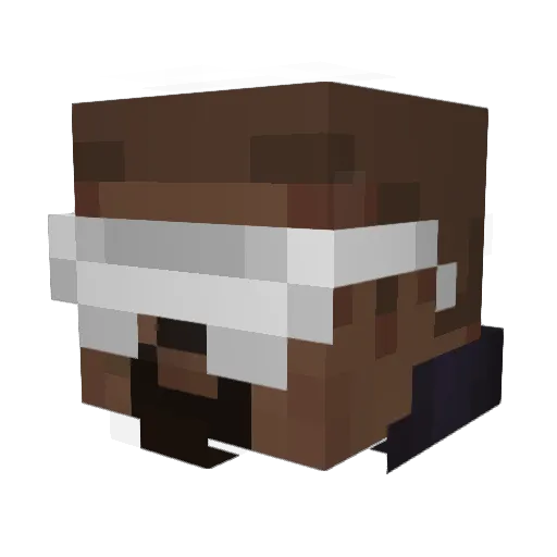 Shennapanda Minecraft avatar head, 3D render