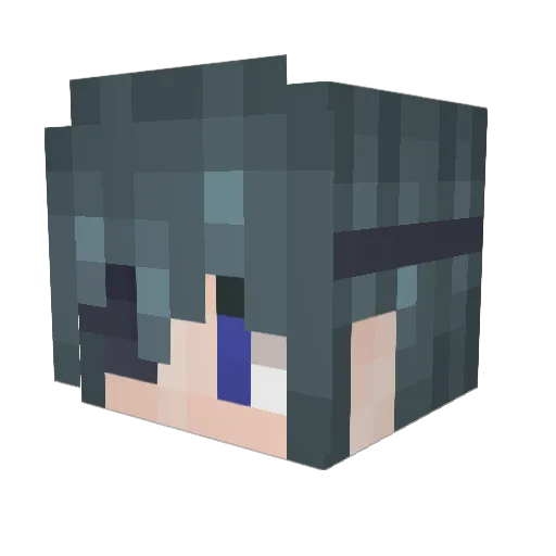 Shenpa1 Minecraft avatar head, 3D render