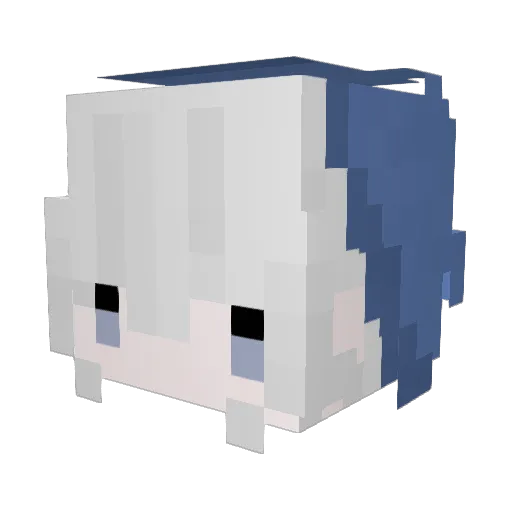 Shenr297_tw Minecraft avatar head, 3D render