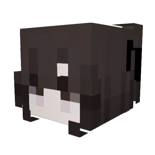 Shenzken Minecraft avatar head, 3D render