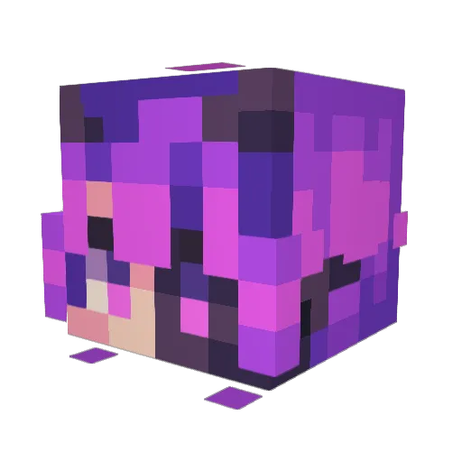 Sheogorath663 Minecraft avatar head, 3D render