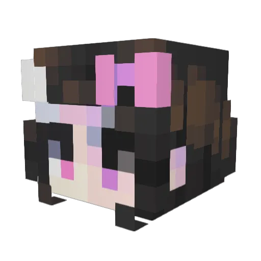 Shepbook84 Minecraft avatar head, 3D render