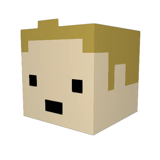 Sheppard2703 Minecraft avatar head, 3D render