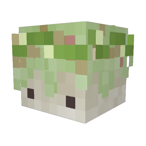 Sherby_ Minecraft avatar head, 3D render