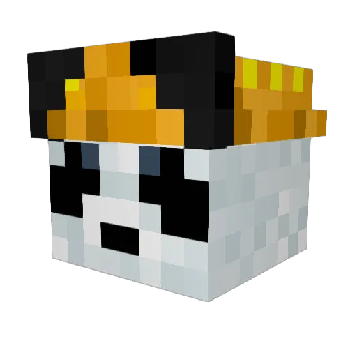 SheriffEmre Minecraft avatar head, 3D render