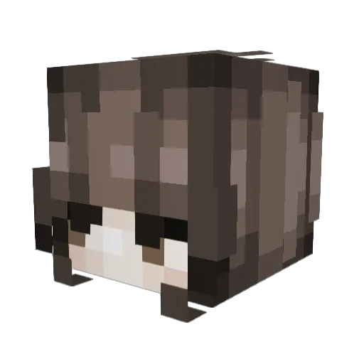 SheriffReign Minecraft avatar head, 3D render