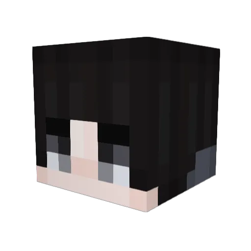 Sherkan_ Minecraft avatar head, 3D render