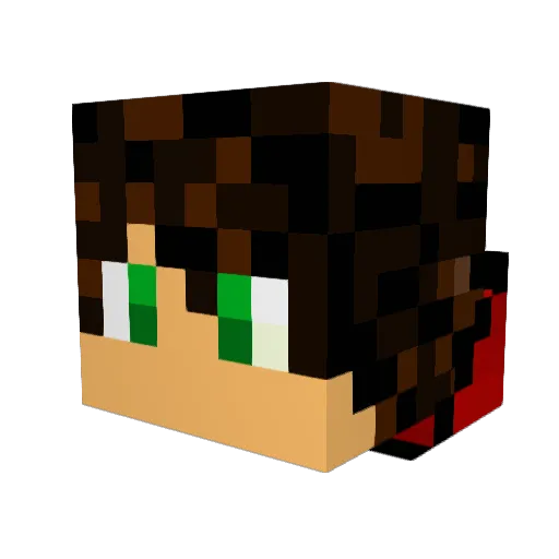 Sherminator Minecraft avatar head, 3D render