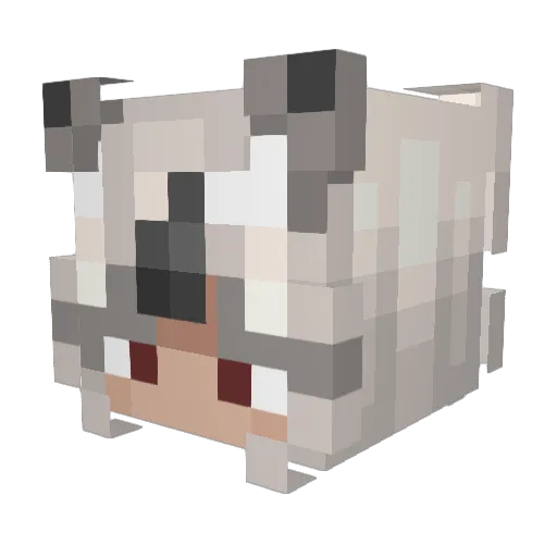 Sherumi Minecraft avatar head, 3D render