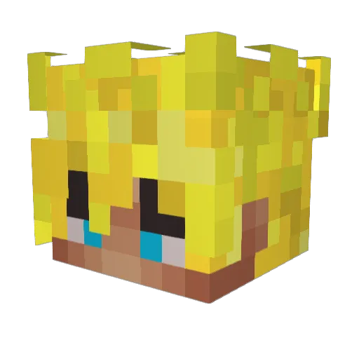 ShervinPicko Minecraft avatar head, 3D render