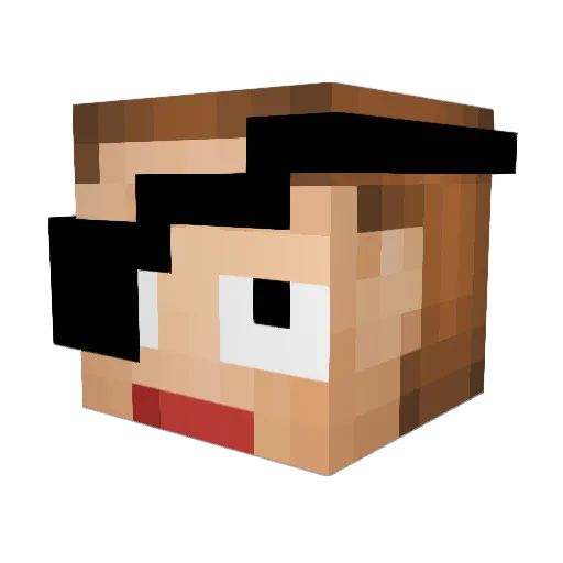 Sheshaw Minecraft avatar head, 3D render
