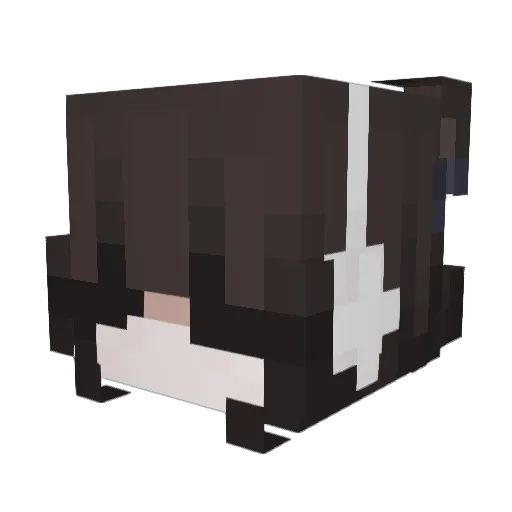 Sheskyy Minecraft avatar head, 3D render
