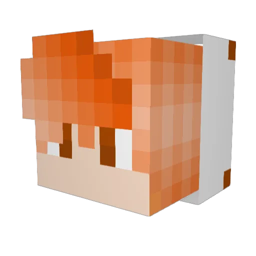 Shestakovich Minecraft avatar head, 3D render