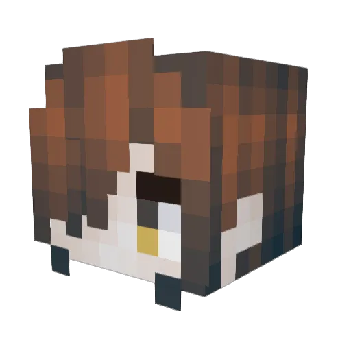 Shetafaker666 Minecraft avatar head, 3D render