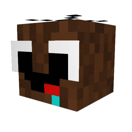 Shetname Minecraft avatar head, 3D render
