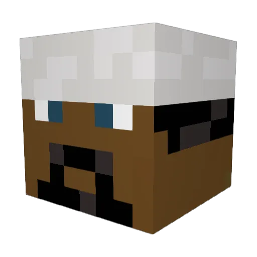 Shettymemes Minecraft avatar head, 3D render