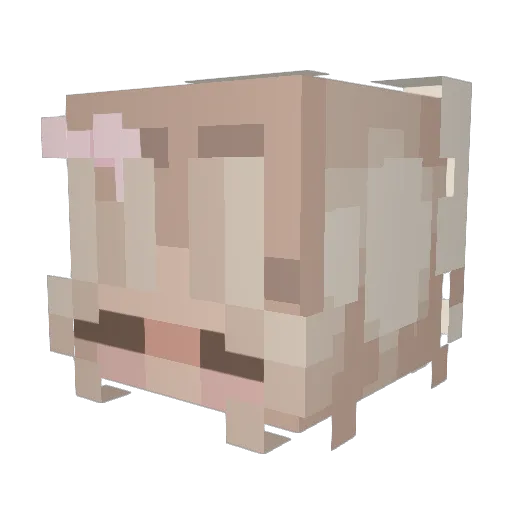 Shevaun Minecraft avatar head, 3D render