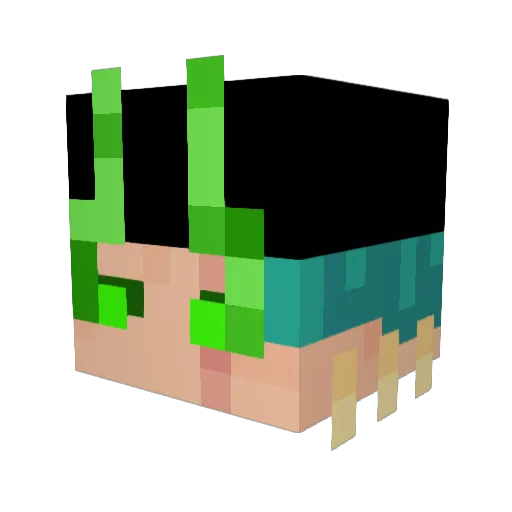 Shevdwag11 Minecraft avatar head, 3D render