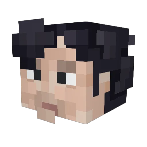 ShezzaBee Minecraft avatar head, 3D render