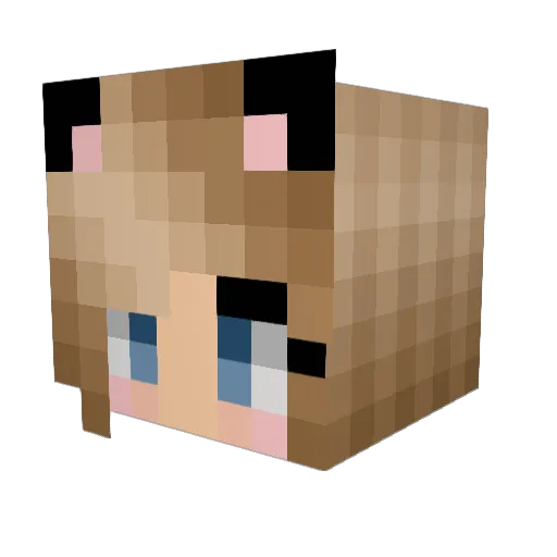 ShezzaSamuRebel2 Minecraft avatar head, 3D render
