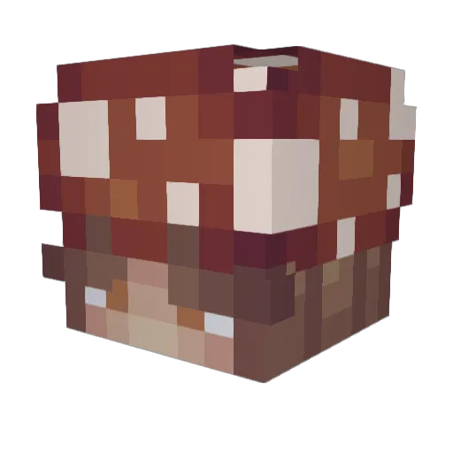 Shezzffy Minecraft avatar head, 3D render
