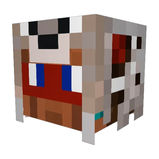 Shhaggy Minecraft avatar head, 3D render