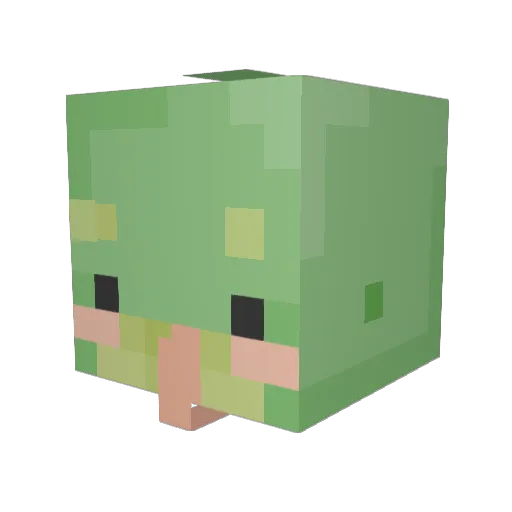 Shhnakes Minecraft avatar head, 3D render