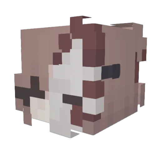 ShiZiChan Minecraft avatar head, 3D render