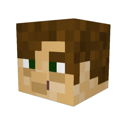 Shia_LaDoge Minecraft avatar head, 3D render