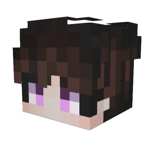 Shiatsu05 Minecraft avatar head, 3D render