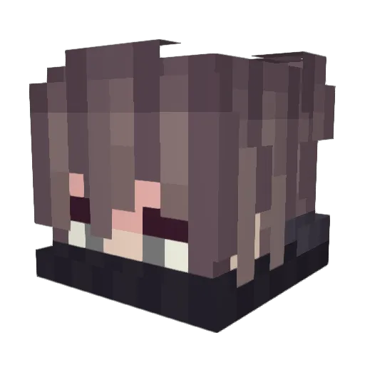 Shib0o0 Minecraft avatar head, 3D render