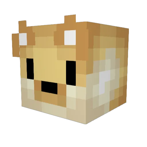 ShibaBRB Minecraft avatar head, 3D render