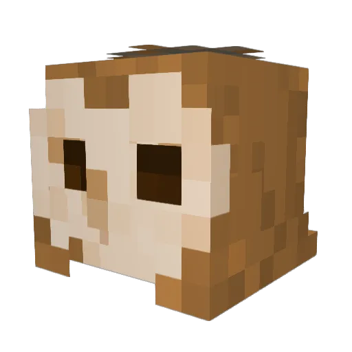 Shiba_Liba Minecraft avatar head, 3D render