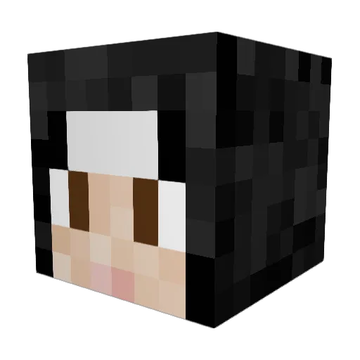 Shibawase Minecraft avatar head, 3D render