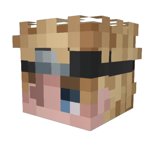 Shibi02 Minecraft avatar head, 3D render